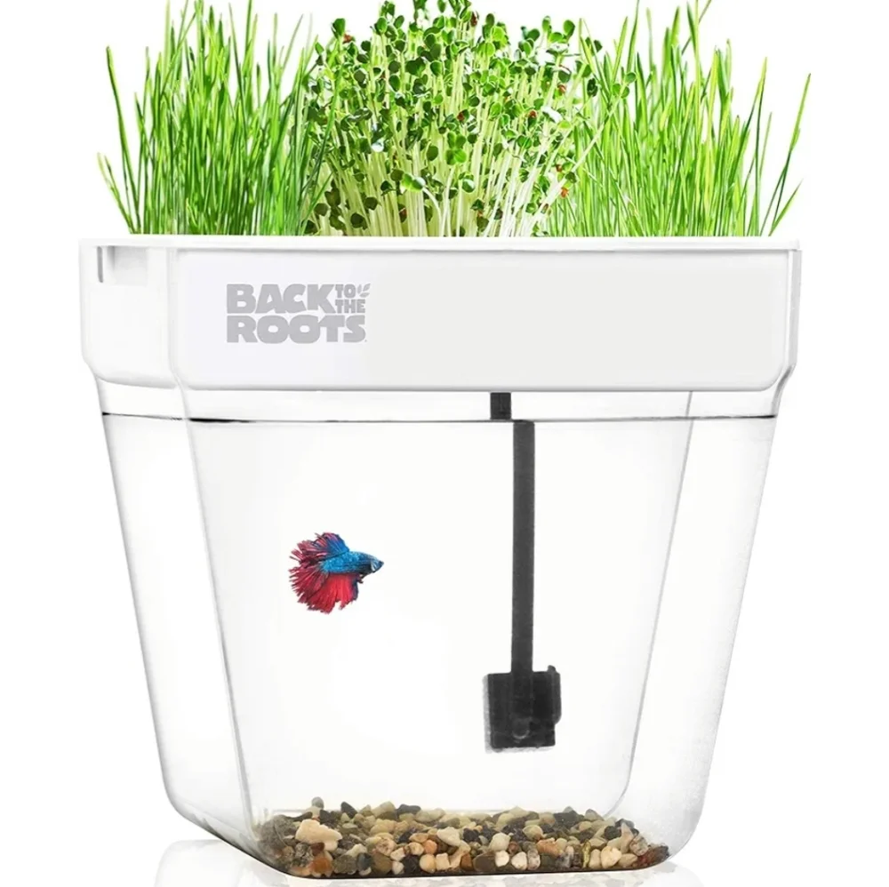 Aquaponic fish tank